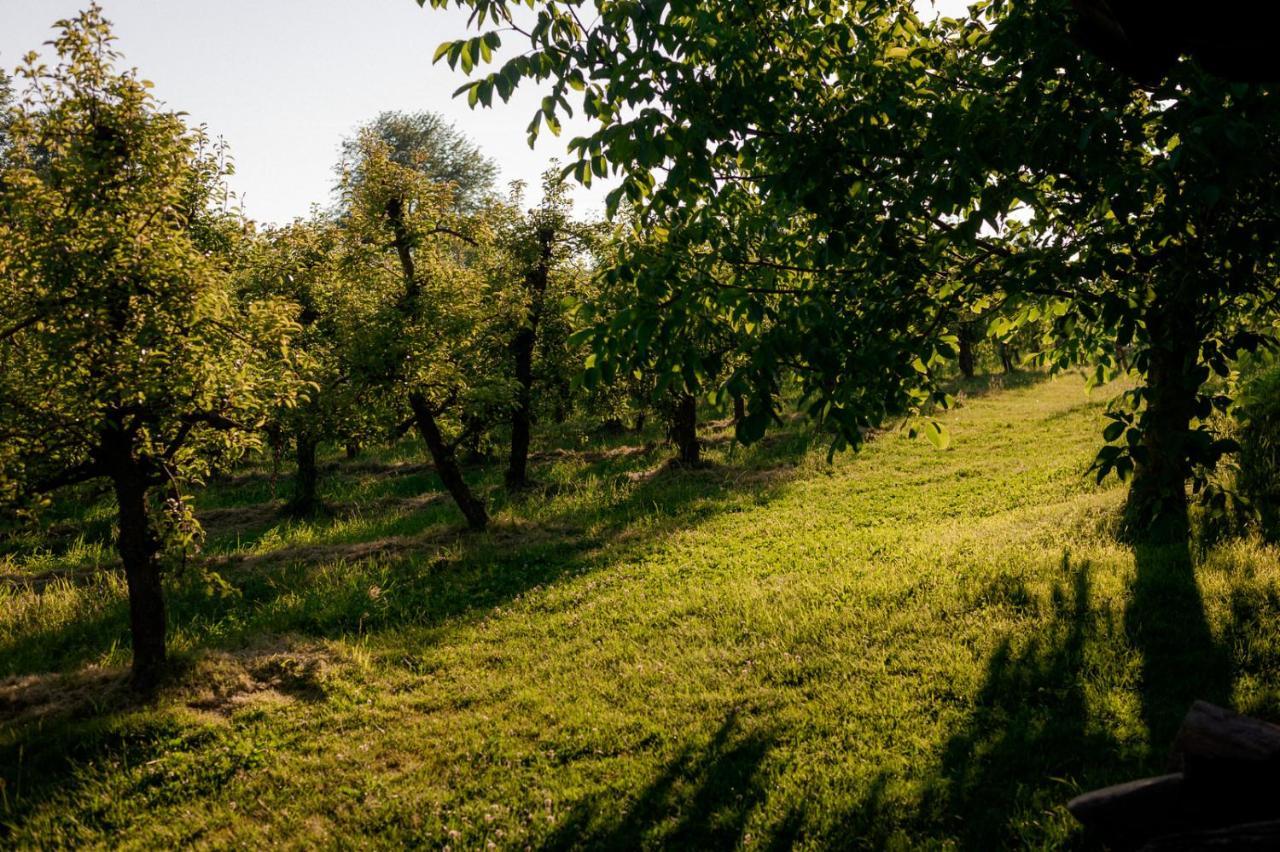 Tourist Farm Firbas Bed and Breakfast Cerkvenjak Eksteriør billede
