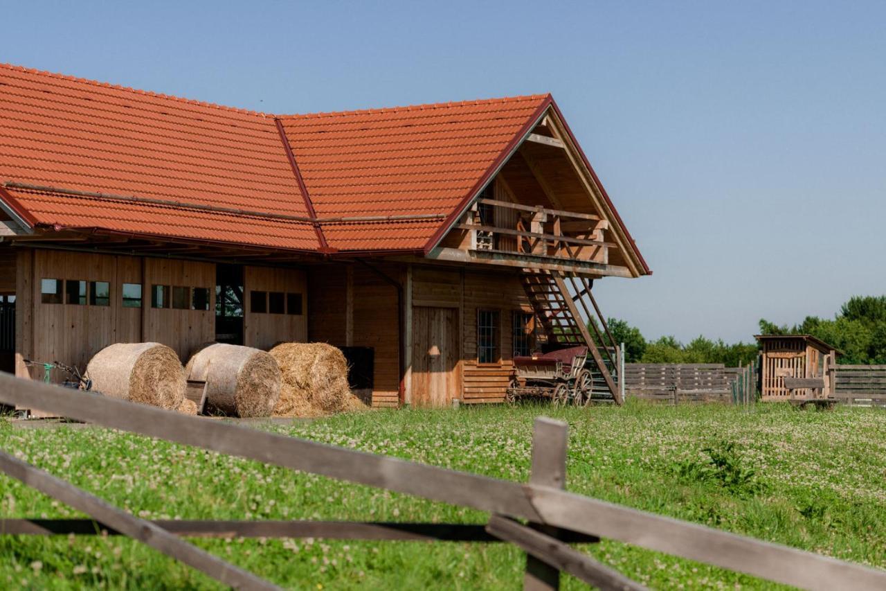 Tourist Farm Firbas Bed and Breakfast Cerkvenjak Eksteriør billede