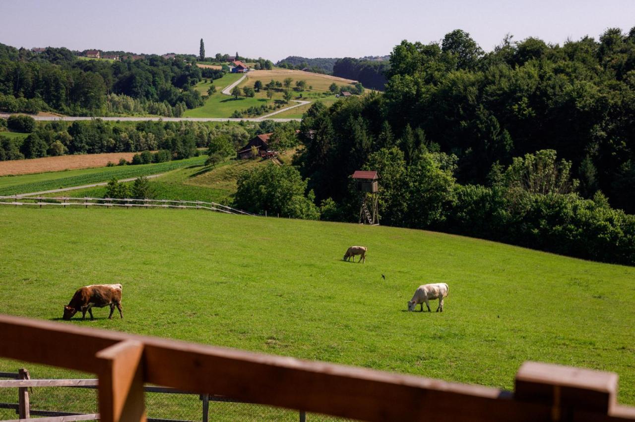 Tourist Farm Firbas Bed and Breakfast Cerkvenjak Eksteriør billede