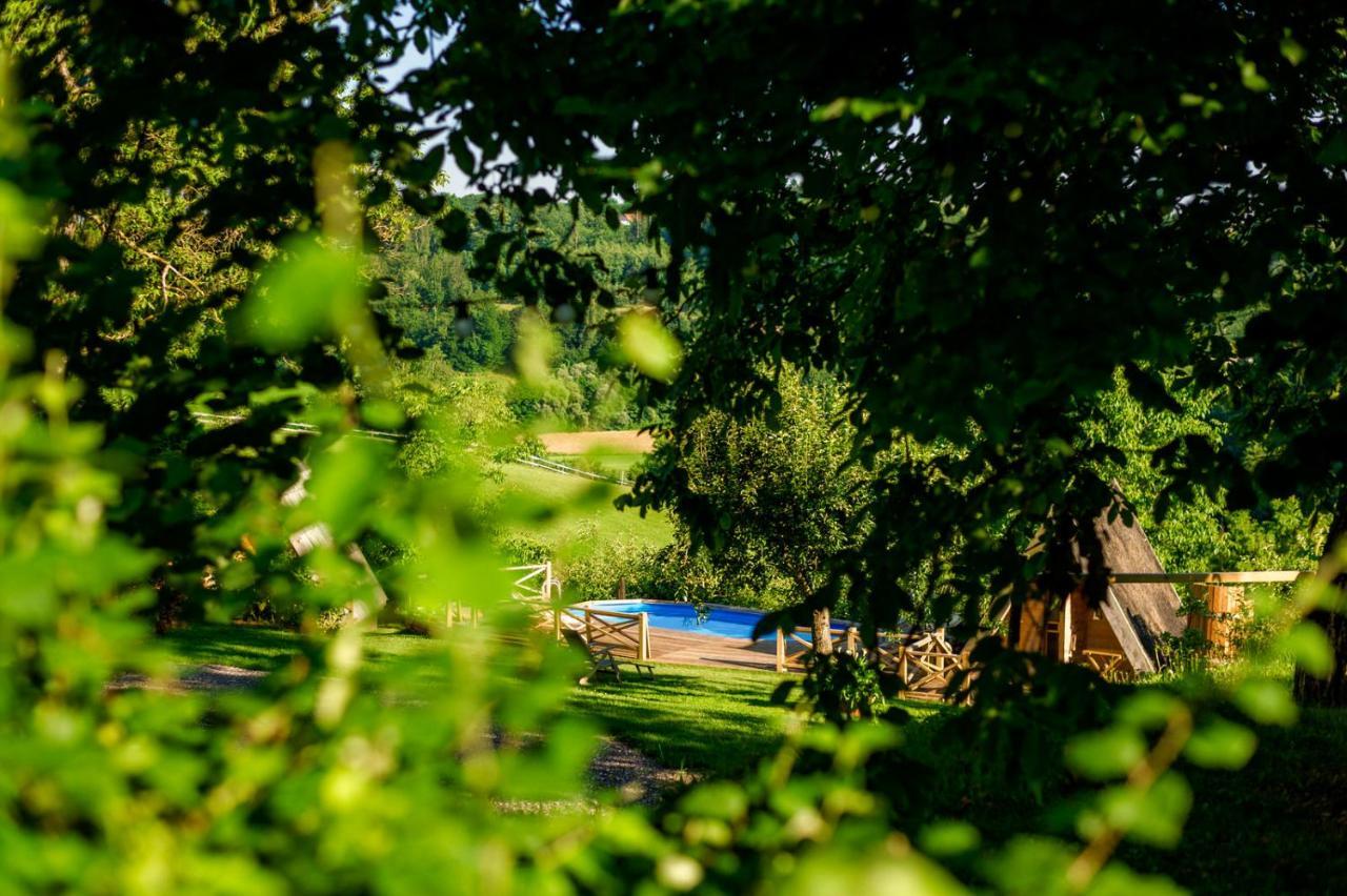 Tourist Farm Firbas Bed and Breakfast Cerkvenjak Eksteriør billede