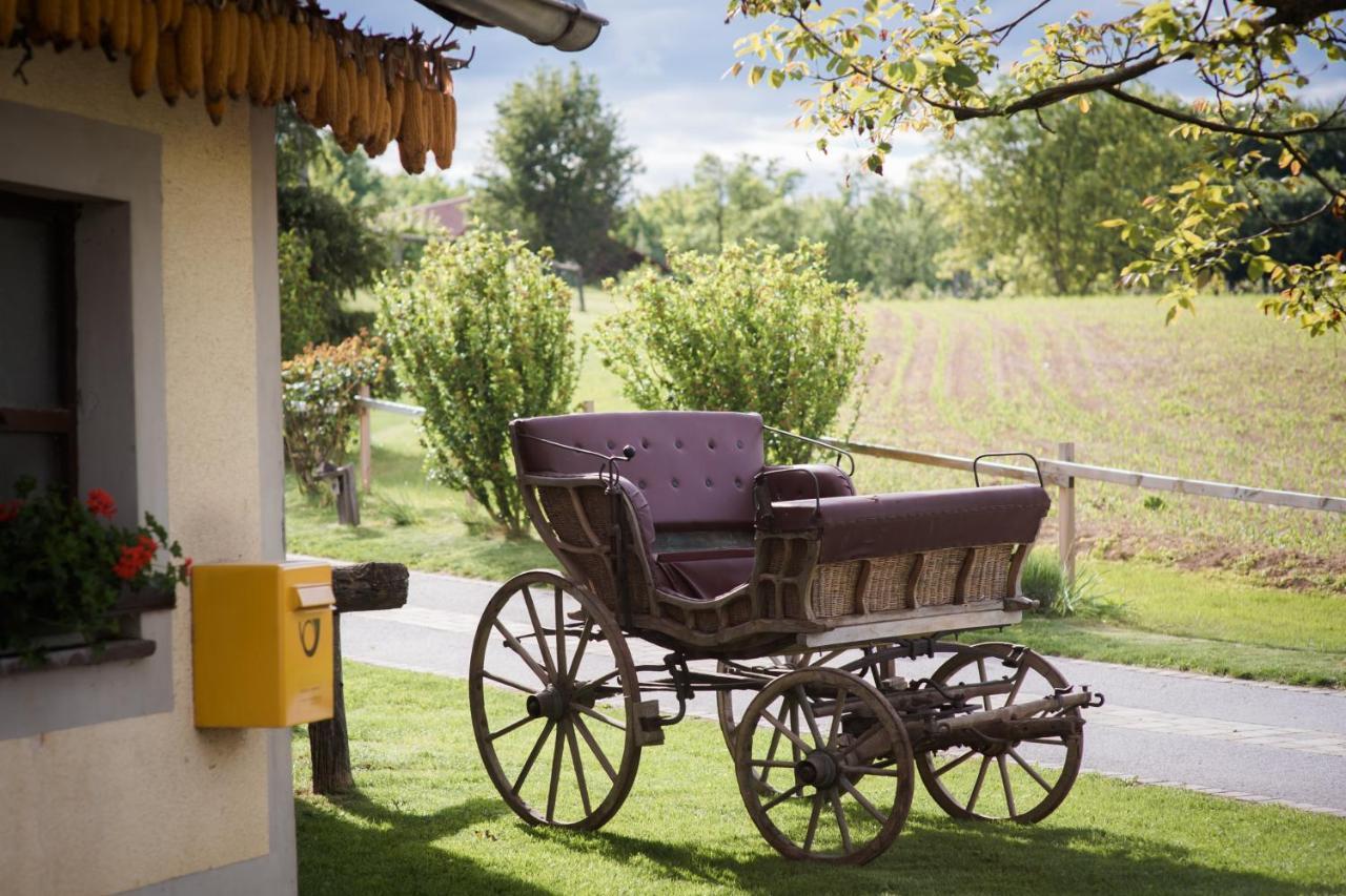 Tourist Farm Firbas Bed and Breakfast Cerkvenjak Eksteriør billede
